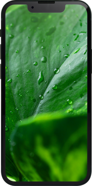 #GOECO Refurbished Smartphone - Apple iPhone 13 mini 128GB mitternacht