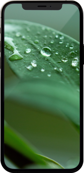 GOECO Refurbished Smartphone - Apple iPhone 12 Pro 256GB graphit