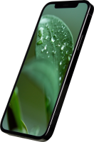 GOECO Refurbished Smartphone - Apple iPhone 12 Pro 256GB graphit